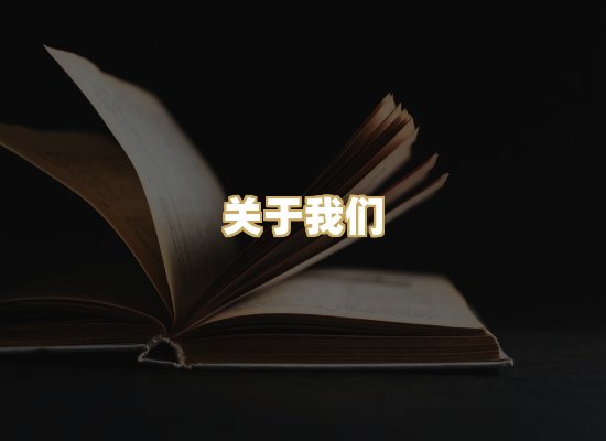 关于我们